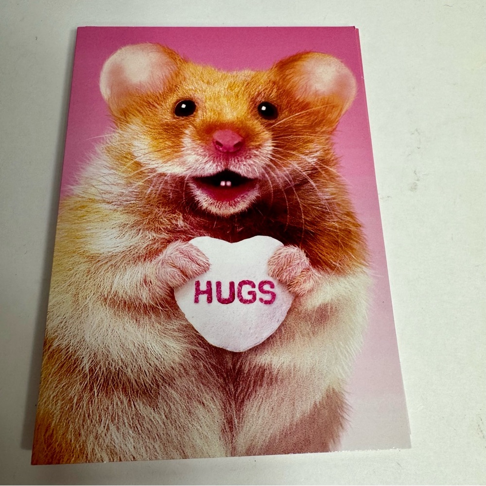 6 Avanti Greeting cards- Mouse holding hugs candy
Holiday: Valentines Day
